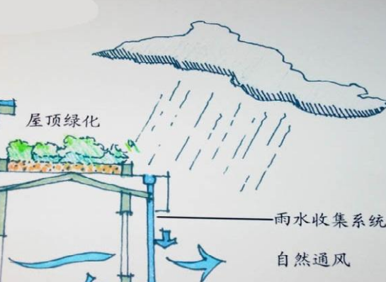 目前雨水收集還是比較方便的，自己在家中都可以設計一個簡單的收集裝置，自己動手還是比較有意義的，